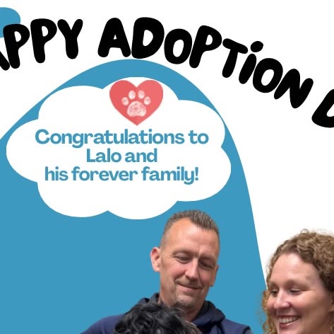 We're so happy that Lalo (now Dash!) has found his forever home!